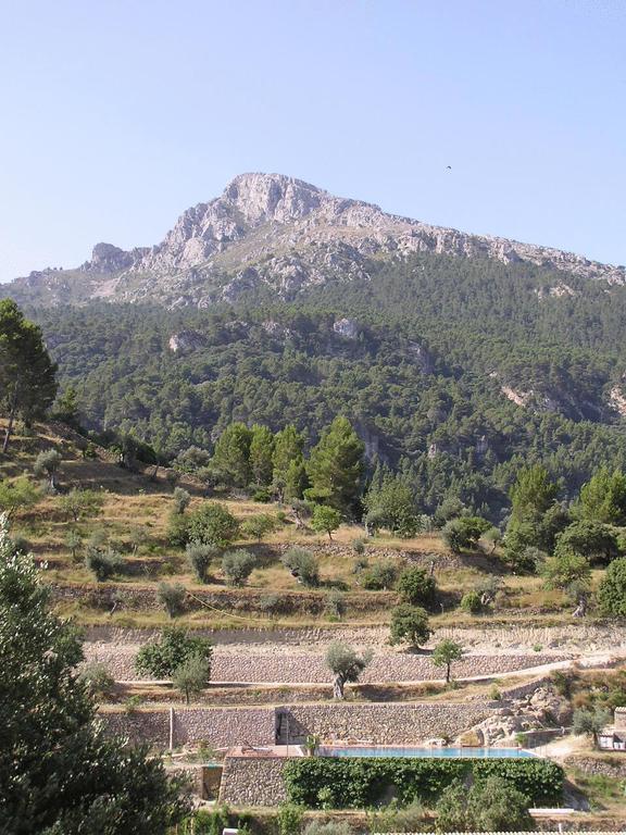 Agroturismo S'olivar * Estellenchs
