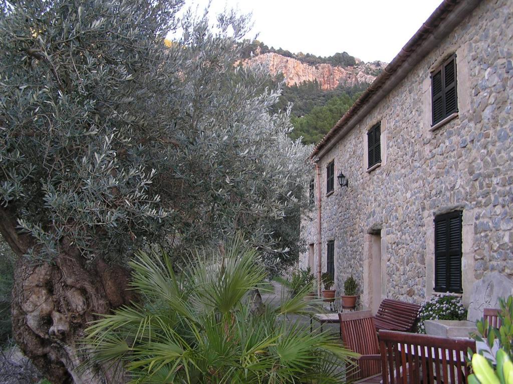 Agroturismo S'olivar Estellenchs